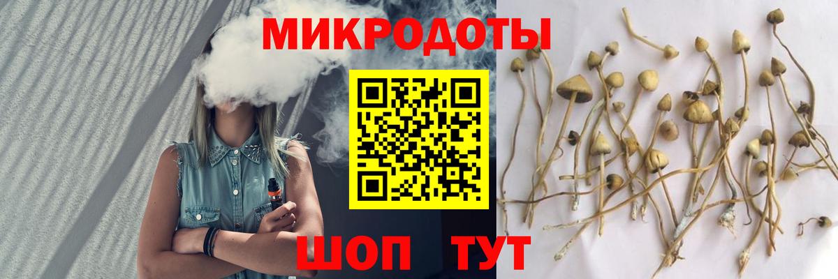 Лесозаводск  Галлюциногенные грибы прущие грибы  Вход с VPN 